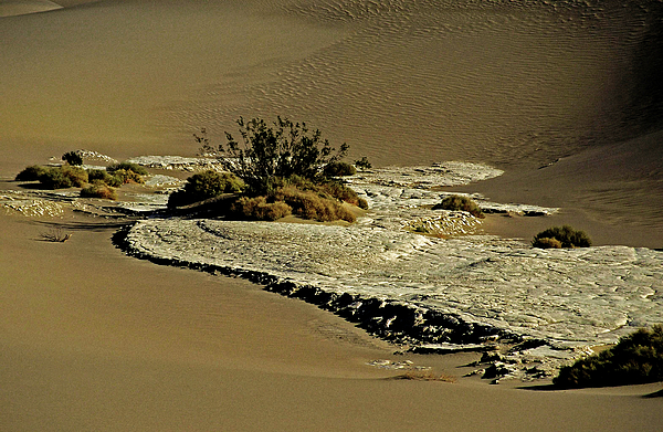 Death Valley Salt by Juergen Weiss Death Valley Salt by Juergen Weiss